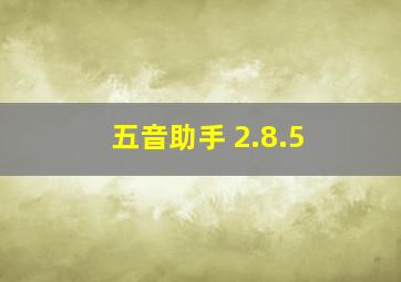 五音助手 2.8.5